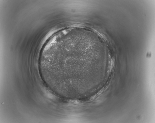 X0000090450195200708102057