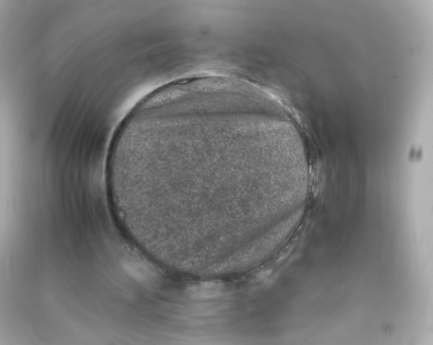 X0000090450196200708102057