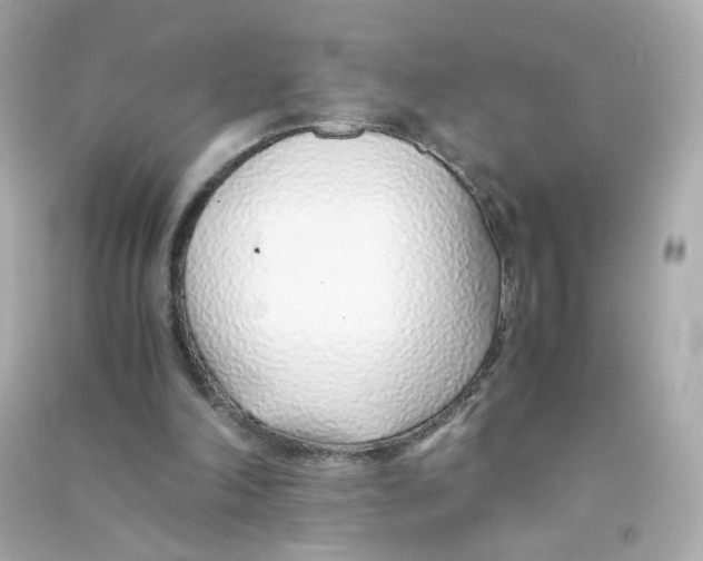 X0000090450198200708102057