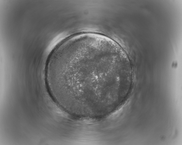 X0000090450199200708102057