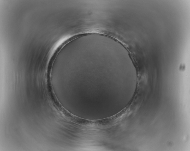 X0000090450200200708102057