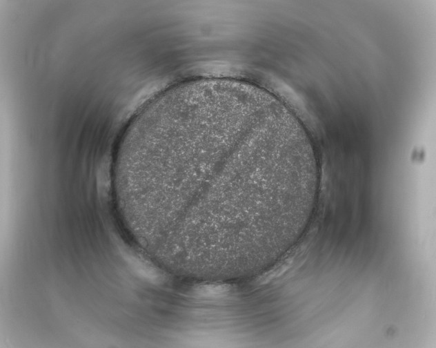 X0000090450202200708102057