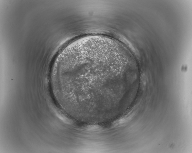 X0000090450203200708102057