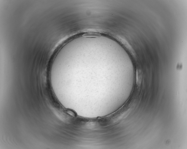 X0000090450204200708102057