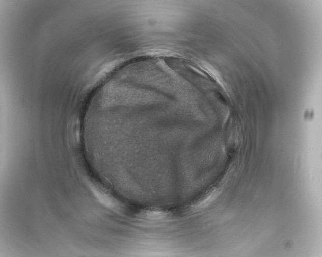 X0000090450205200708102057