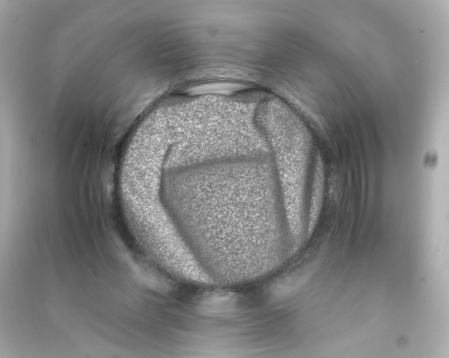 X0000090450206200708102057