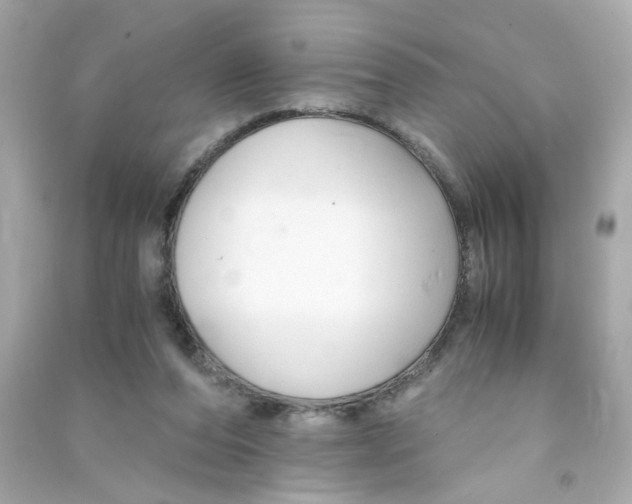 X0000090450208200708102056