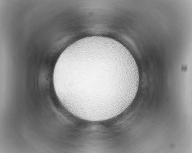 X0000090450210200708102056