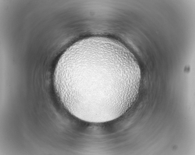 X0000090450211200708102056