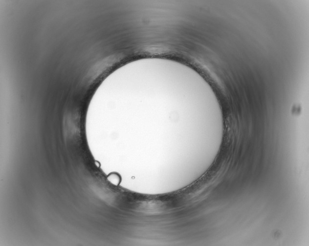 X0000090450212200708102056