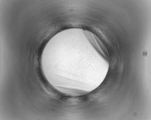 X0000090450213200708102056