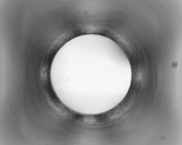 X0000090450214200708102056