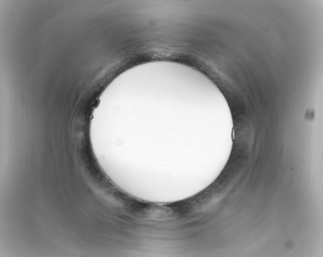 X0000090450215200708102056