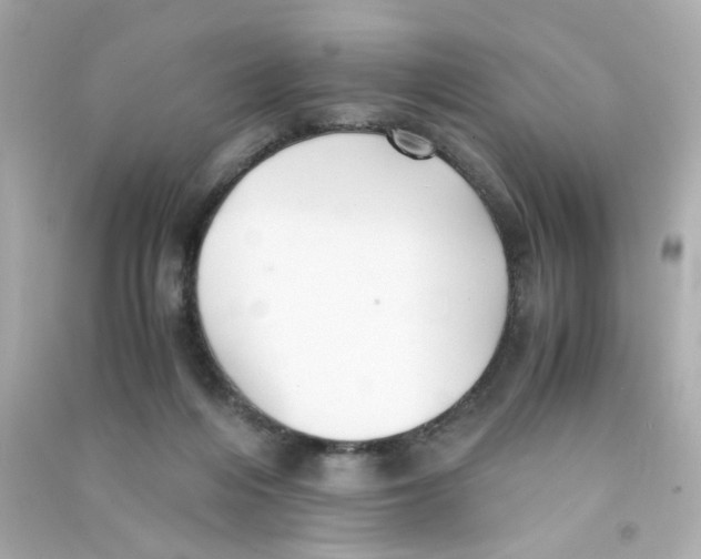 X0000090450216200708102056