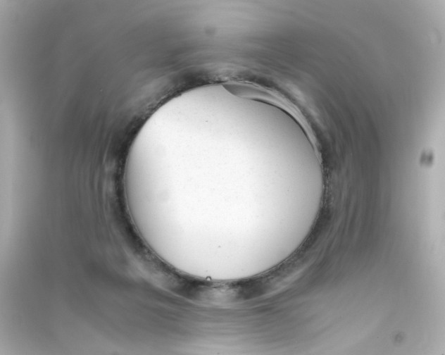 X0000090450217200708102056