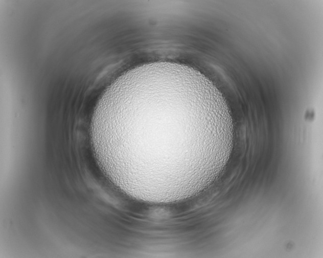 X0000090450218200708102056