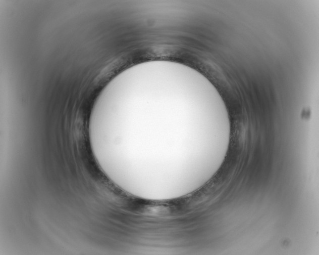 X0000090450220200708102056