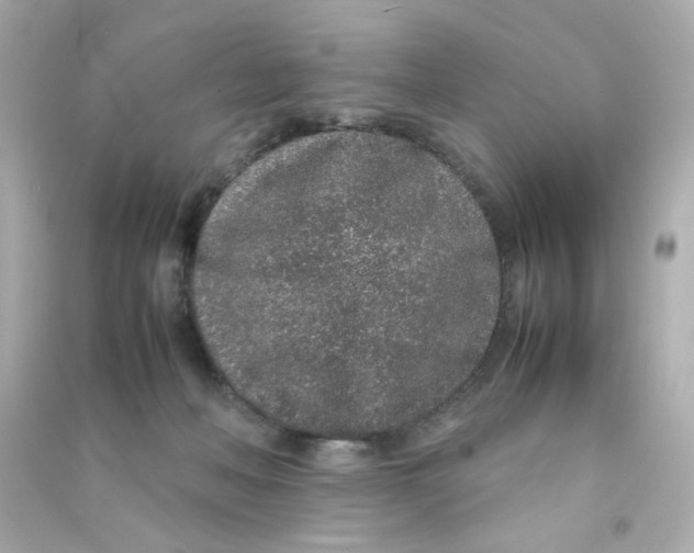 X0000090450222200708102056