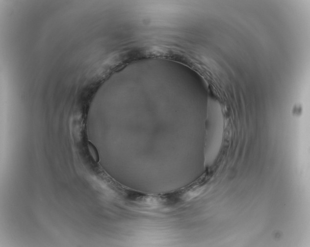 X0000090450223200708102056