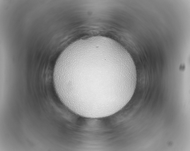 X0000090450226200708102056