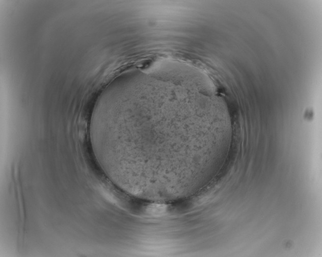 X0000090450227200708102056