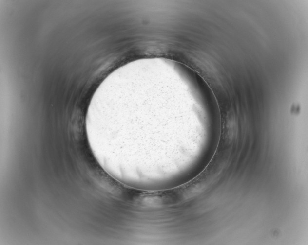 X0000090450228200708102056