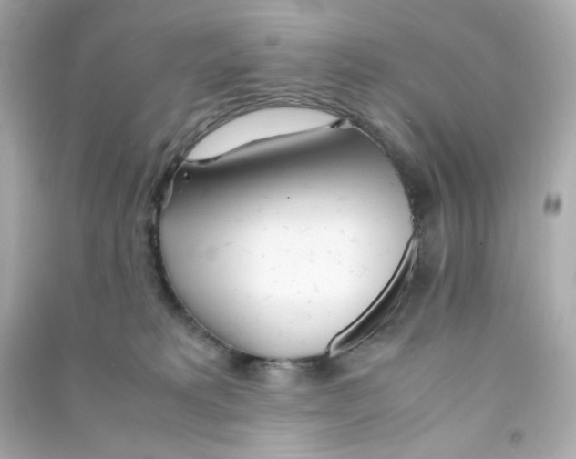 X0000090450229200708102056