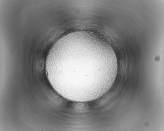 X0000090450230200708102056