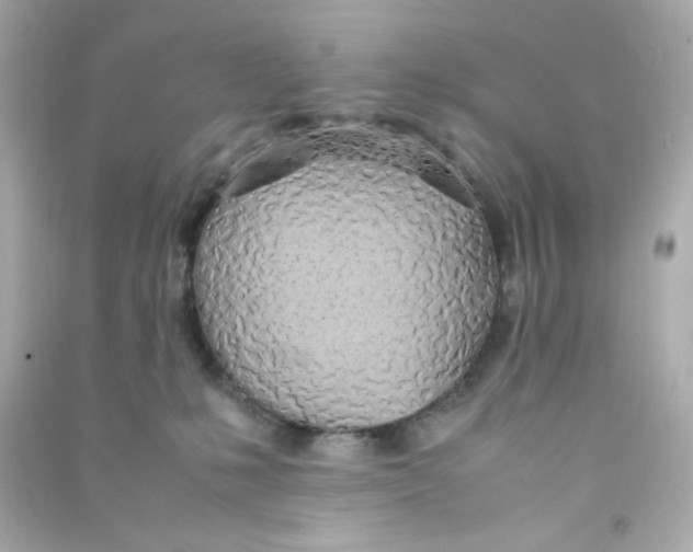 X0000090450231200708102056