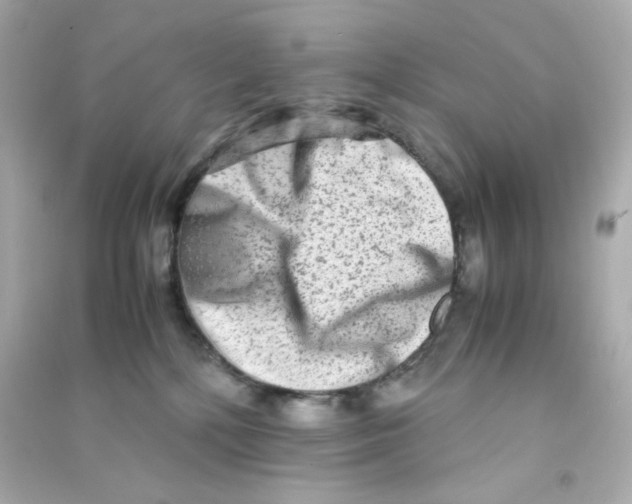 X0000090450232200708102056