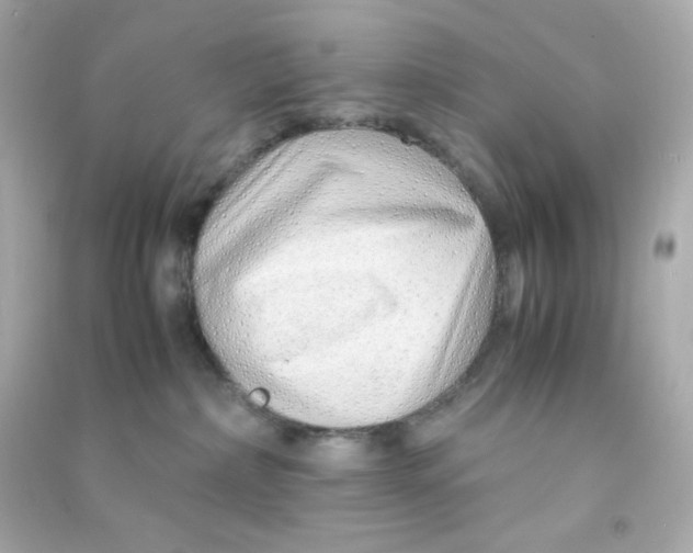 X0000090450236200708102056