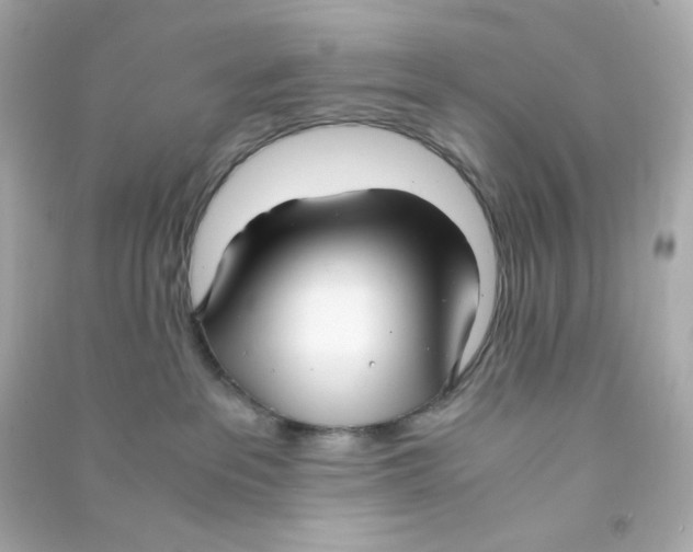 X0000090450237200708102056