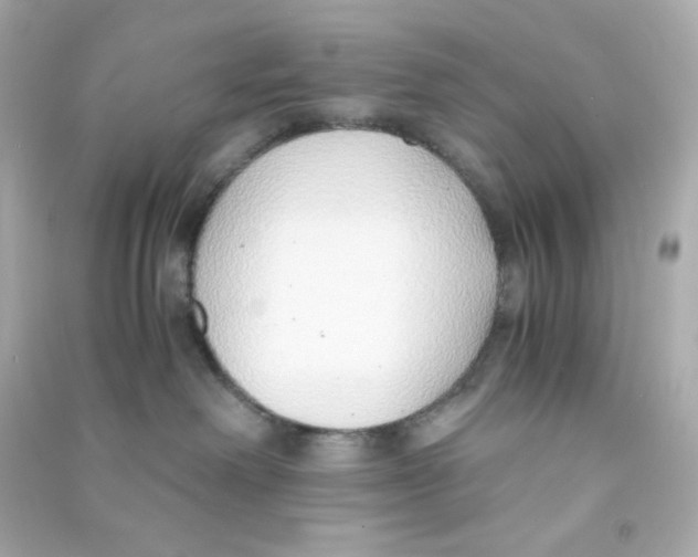 X0000090450238200708102056