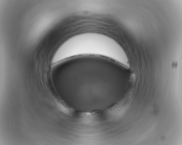 X0000090450239200708102056