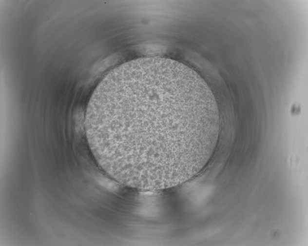 X0000090450240200708102056