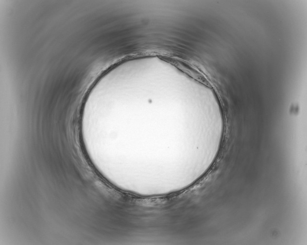 X0000090450241200708102055