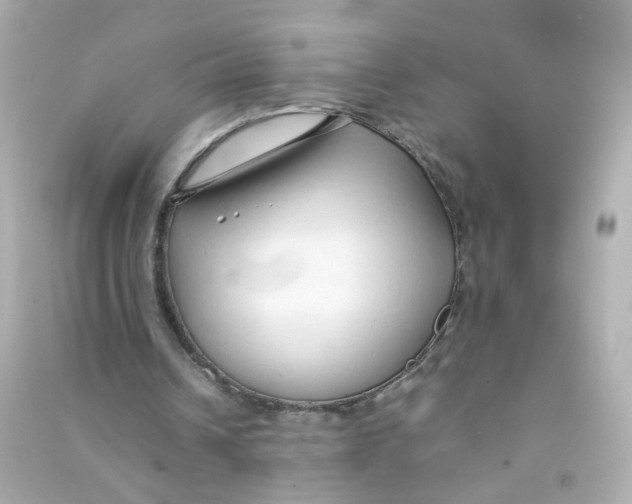 X0000090450242200708102055