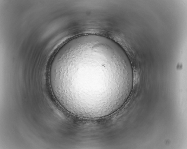 X0000090450243200708102055