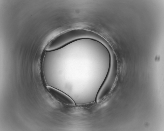 X0000090450244200708102055