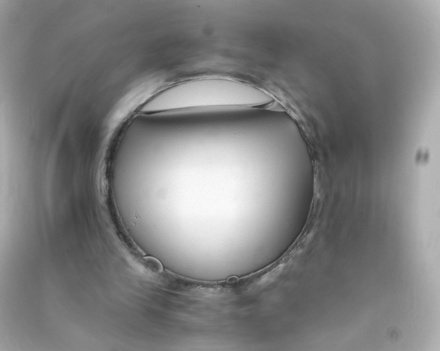 X0000090450245200708102055