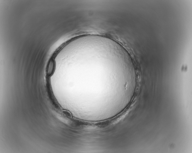 X0000090450246200708102055