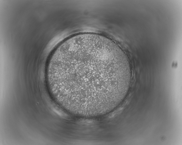 X0000090450247200708102055