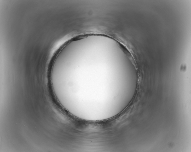 X0000090450248200708102055