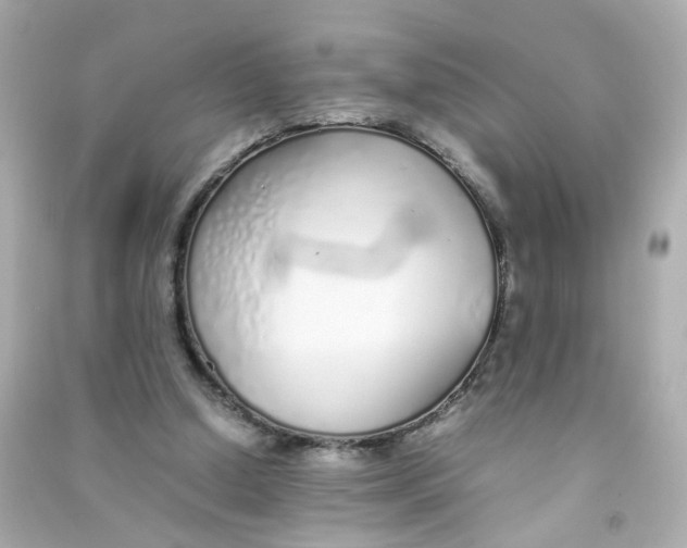 X0000090450250200708102056