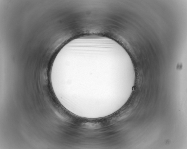 X0000090450251200708102056