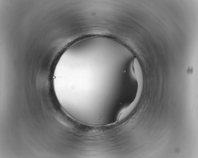 X0000090450252200708102056