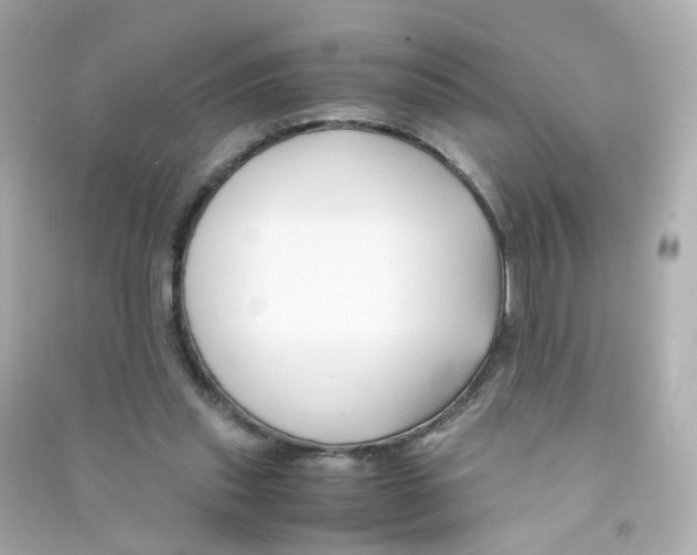 X0000090450253200708102056