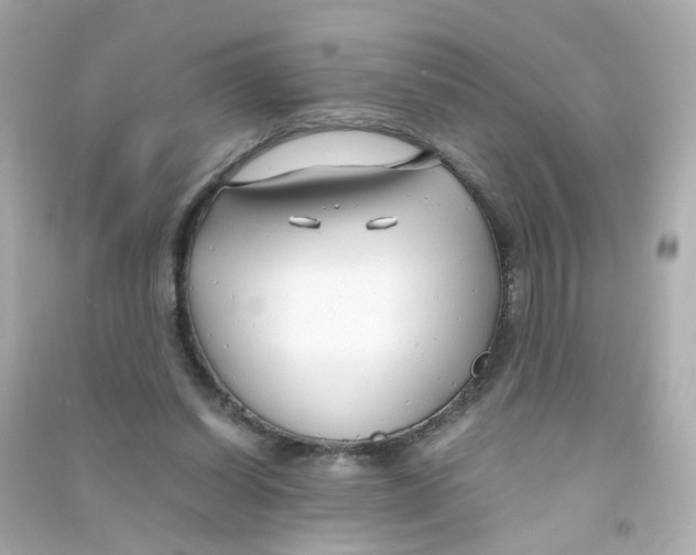 X0000090450254200708102056