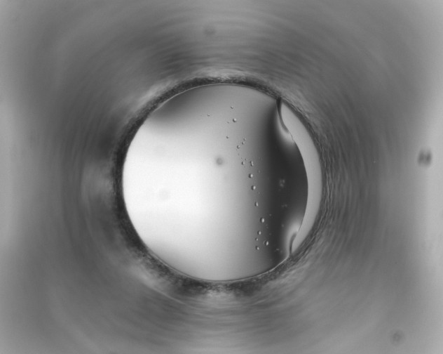 X0000090450256200708102056