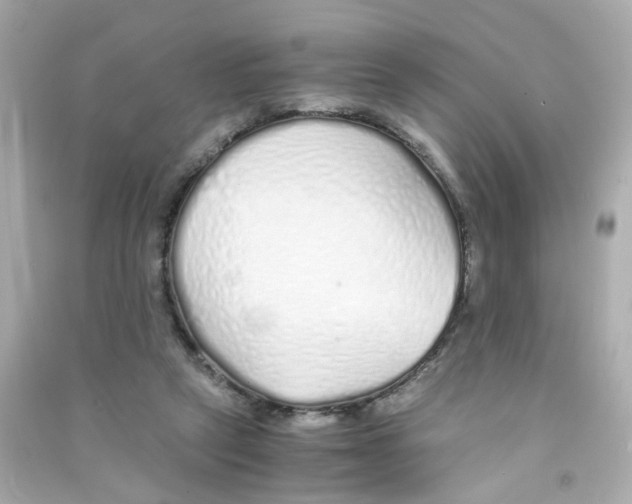 X0000090450257200708102056